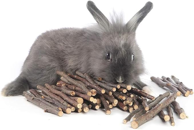 William Craft 250g Apple Sticks Pet Chew Toys Treats for Chinchilla Guinea Pigs Rabbits Squirrel Hamster Bunny 8.8 Ounce