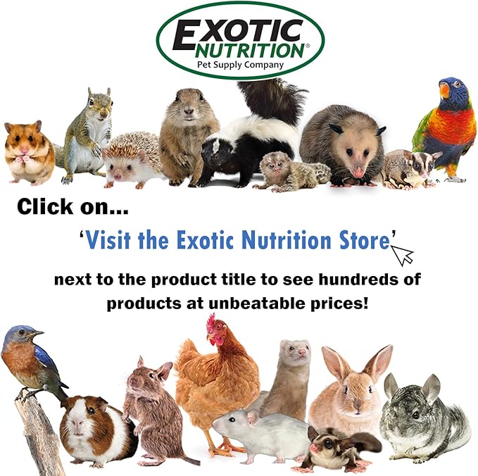 Exotic Nutrition Deluxe Squirrel Diet (2 lb.) - Staple Diet with High Protein Pellets for Captive Squirrels - Grey, Ground, Flying, and Chipmunks