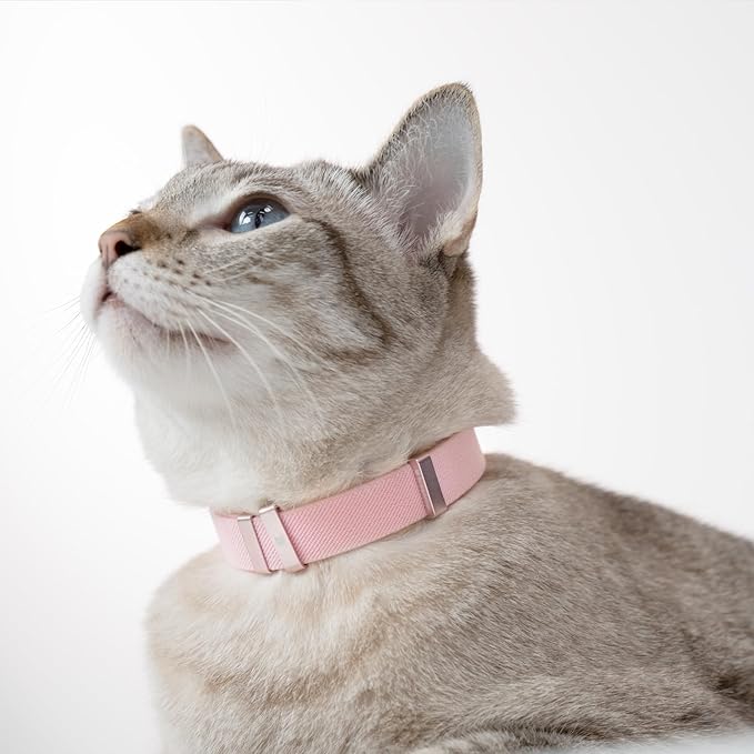 Safety Cat Collar - U.S. IDA Gold Awarding Design, Stretch Elastic Quick Release, Non Breakaway - Light Weight for Kitten, Neck Fit 7.8'-15.7' for All Small Large Cat,M(Glacier Silver)