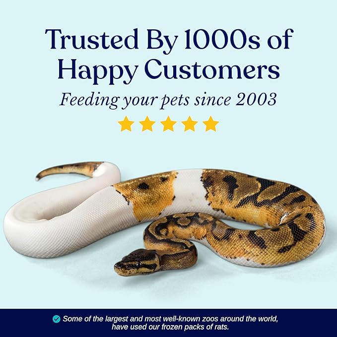 MiceDirect Frozen Large Adult Feeder Mice Food for Adult Ball Pythons Juvenile Red Tale Boa Monitors Lizards 40 Ounce (50 Count)