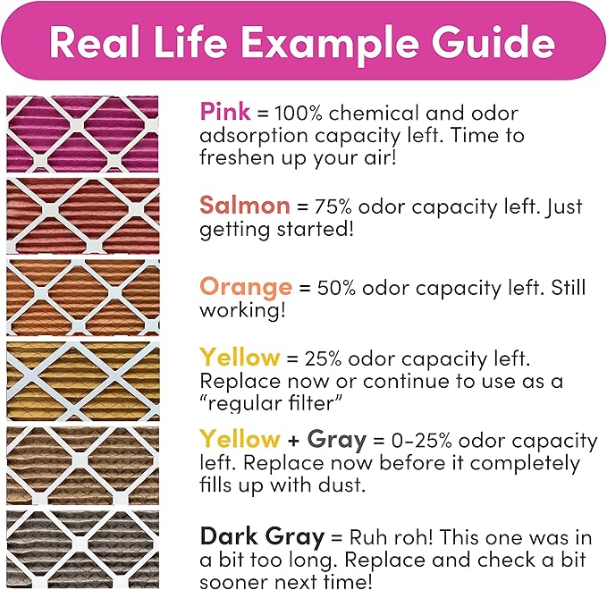 Colorfil 20x25x1 Air Filter (2-Pack) | Made in the USA | Color Changing | Remove Cat and Dog Odor | MERV 8 for Pet Hair Dander and Dust | 19.5"x24.5"x0.75" Exact Size
