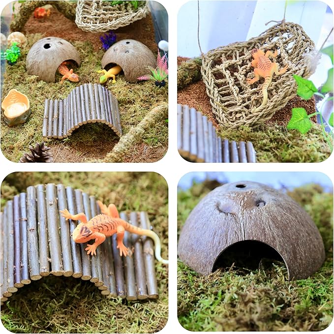 Hermit Crab Accessories ā 8PCS Natural Hermit Crab Shells, Coconut Hideout, Climbing Toys Hammock, Moss, Plants & Water Dish, Habitat Decor for Hermit Crabs or Reptile Tank (C-Group-Water Dish).