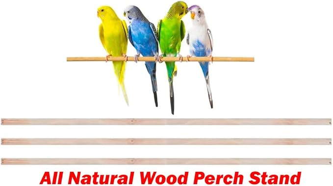 38-Inch Double Roof Top Large Flight Bird Cage with Toys Climbing Ladder Side Nesting Box Doors for Cockatiels Sun Parakeets Conures Aviary Budgie Finch Lovebird Canary Pet Bird Travel Cage
