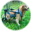 Pet Trolley Adjustable Hind Leg Disabled Dog Mobility Aid Light Rehabilitation Legs Wheelchair Walk Tools(Medium)
