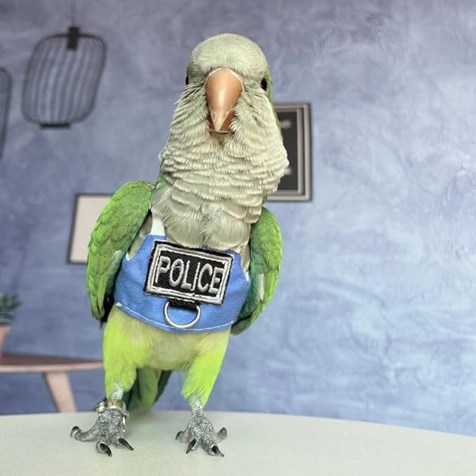 Bird Flight Harness Vest, Parrot Flight Suit with Leash, Bird Flying Clothes with Rope and Handle for Outdoor Activities (Without Leash,Hahn's Macaw)