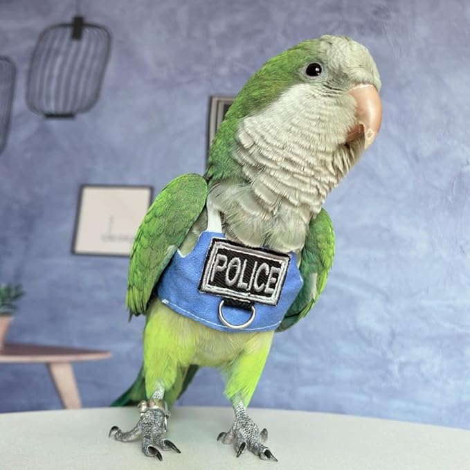 Bird Flight Harness Vest, Parrot Flight Suit with Leash, Bird Flying Clothes with Rope and Handle for Outdoor Activities (Without Leash,Cockatiel)