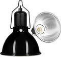 DXOPHIEX 5.5 inch Dome Reptile Light Fixture Reptile Heat Lamp UVB Light Fixture for Bearded Dragon, Lizard, Hermit Crab, Turtle Tank and Terrarium（Max 100W）