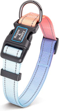 Roses&Poetry Reflective Dog Collar with Gradient Azure, Adjustable Durable Pet Collars for Small Medium Large Dogs (Azure-S)