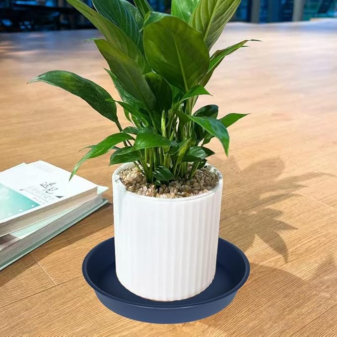 6 Pack of 8 inch Plant Saucer Blue, Plastic Plant Water Tray 8 inch Round, Flower Plant Saucers for Indoors, Dlant Dishes Saucer for Planter 7"/8" (8", Blue)