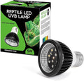 UVB Light for Reptiles, UVB Bulb 5W 5.0 UVB LED Lamp, Reptile Light Bulb, Provide Sufficient UVB Exposure for Tropical Spices-Not Heat Lamp