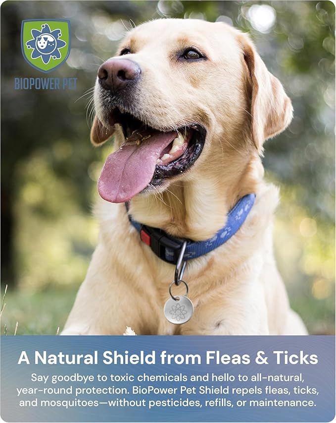 Natural Flea & Tick Repellent Collar Tag for Dogs & Cats – BioPower Pet Shield – Safe for Pets When Used as Directed – Lasts 1 Full Year - Regular Tag (2 Pack)