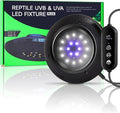LED UVB Light for Reptiles, 8W UVA UVB Lamp – Timer Switch, Adjustable Brightness, Ferguson Zones 1-4, Energy-Efficient, UVI Lamp for Bearded Dragons, Chameleon, Lizard, Snake, Non-Heating Equipment