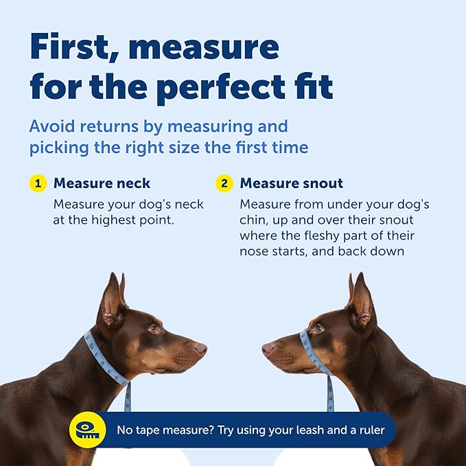 PetSafe Gentle Leader Headcollar No-Pull Dog Collar - Helps Improve Walks - Durable Nylon Construction - Padded Nose Loop - Adjustable Fit - Comfort Walking Halter - Medium, Silver