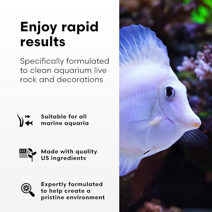 Brightwell Aquatics MicroBacter Clean - Microbial Culture & Enzyme Blend Fish Tank Cleaner - Cleans Live Rock Surfaces for Saltwater Fish Habitats - Aquarium Water Treatments, 33.8 fl oz