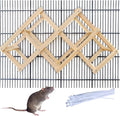 Wooden Rat Climbing Toys for Pet Rats - Natural Cage Accessories,Climbing Ladder,Hanging Enrichment Toys for Fancy Rats,Fun & Safe Play & Chew Activities,M