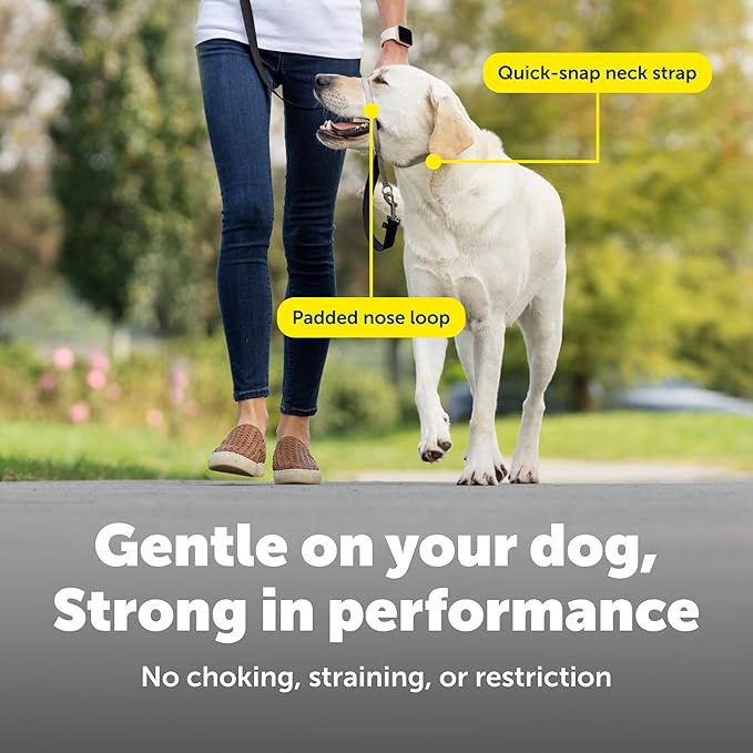 PetSafe Gentle Leader Headcollar No-Pull Dog Collar - Helps Improve Walks - Durable Nylon Construction - Padded Nose Loop - Adjustable Fit - Comfort Walking Halter - Small, Black