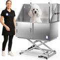 Flying Pig 50" Stainless Steel Professional Electric Lift Pet Grooming Tub