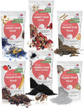 Snout and Shell Hermit Crab Food Bundle (Fruity Breakfast Blend, Ocean Mix, Protein Mix, Summer Sunset, Worm Castings & Oyster Shell Flour)
