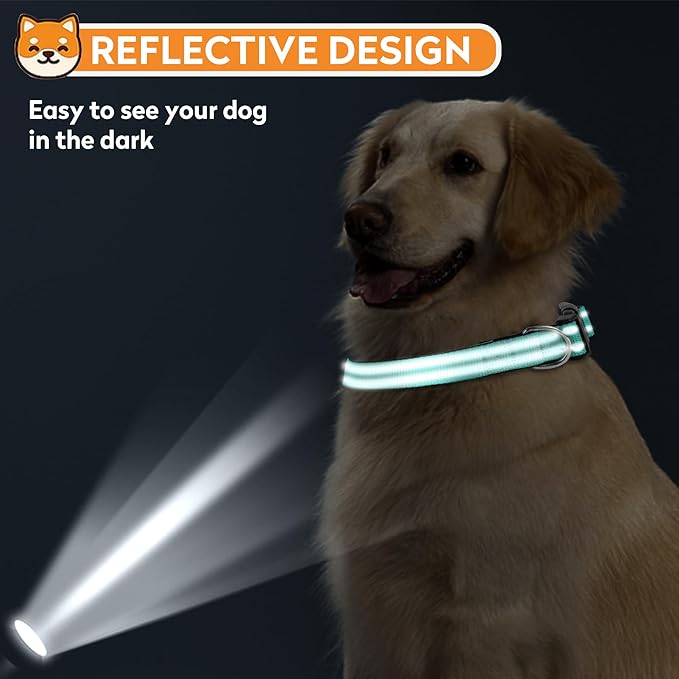 Reflective Dog Collar, Adjustable Soft Neoprene Padded Nylon Pet Collars with Buckle for Large Dogs, Teal,L