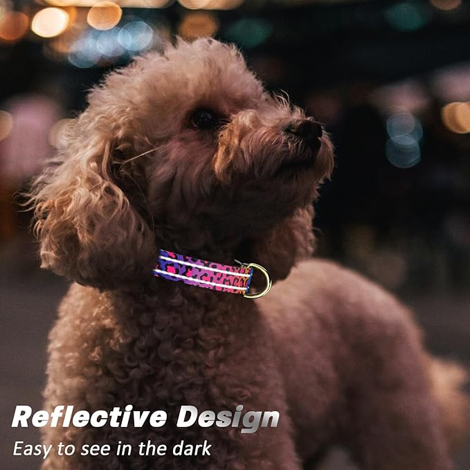 Reflective Dog Collar for Large Dogs, Cute Leopard Style Adjustable Heavy-Duty Nylon Puppy Collar for Boy and Girl Female, Soft Pet Accessories with Quick Release Buckle, Neon
