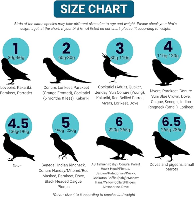 Bev's Bird Boutique Regular Flyper Adjustable Bird Diaper | Reusable, Washable Cloth | Comfort Fit for Parrot, Cockatiels, & Other Small Birds | Fashionable Avian Accessories, Navy & Red, Size 6