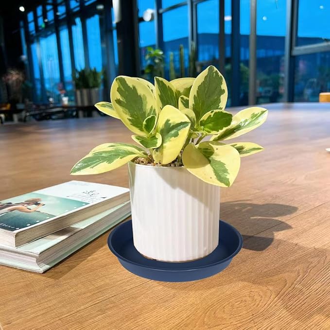 6 Pack of 8 inch Plant Saucer Blue, Plastic Plant Water Tray 8 inch Round, Flower Plant Saucers for Indoors, Dlant Dishes Saucer for Planter 7"/8" (8", Blue)