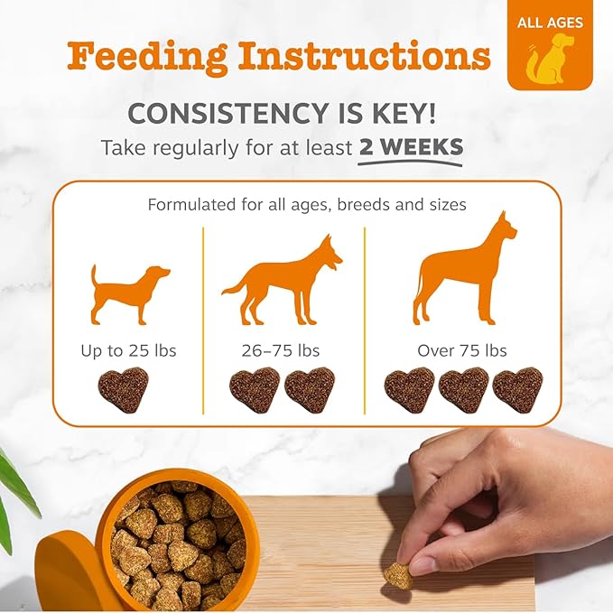 Zesty Paws Probiotics for Dogs, Digestive Enzymes Gut Flora, Digestive Health, Diarrhea & Bowel Support, DE111, Dog Probiotic Soft Chew for Pet Immune System, Pumpkin, 250 Ct