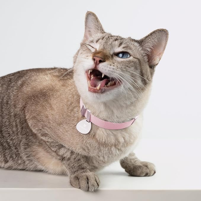 Safety Cat Collar Pro - U.S. IDA Gold Awarding Design, Elastic Quick Release Cat Collar with Buckle Non Breakaway - Lightweight for Kitten All Small Large Cats (Linen, M 7.9-15.7")