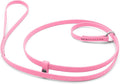 Jelly Pet Grooming Lead for Dogs | Great for Kennels, Veterinarians and Dog Grooming Salons | Biothane Leash - Easy to Clean, Waterproof & Durable Noose Loop | Made in The USA | 5/8" x 6'