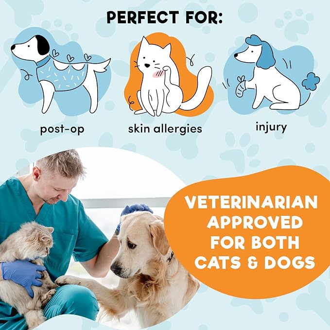 BENCMATE Inflatable Dog Cone Collar Alternative, Soft Dog Cone for Small Medium Large Dogs and Cats, Neck Recovery ECollar Donut Collar After Surgery (Medium+, Grey)