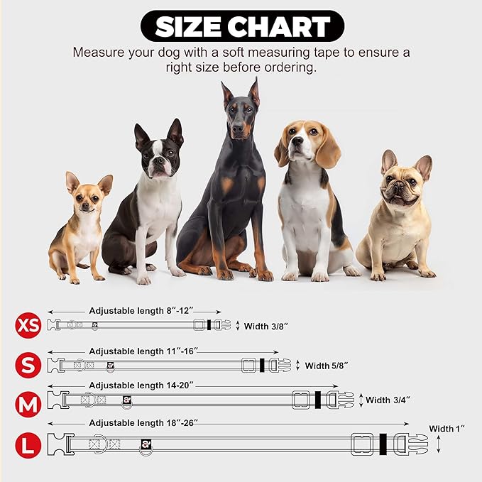 azuza Reflective Dog Collar,Soft Neoprene Padded Pet Collar with ID Tag Ring,Adjustable for Small Dogs,Teal,S