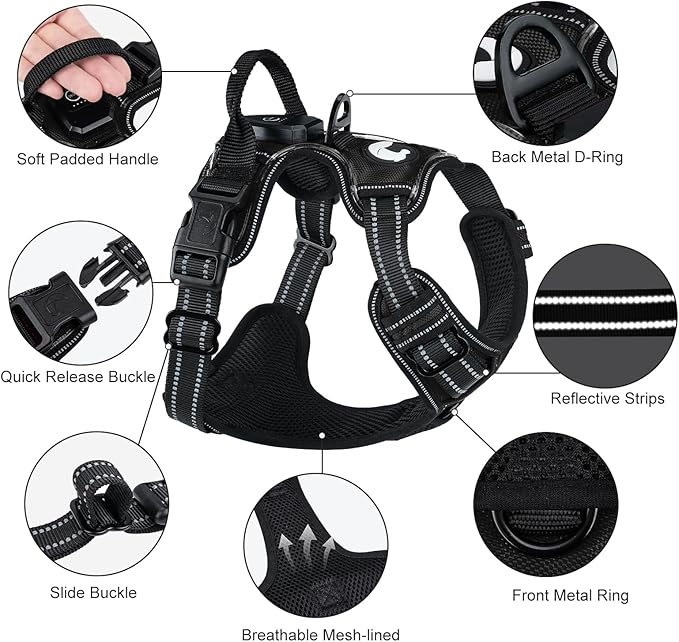 Taglory Light Up Dog Harness, Rechargeable No Pull Dog Vest with 3 Lightning Modes, Reflective Dog Harness with 2 Leash Clips & 4 Adjustable Slide Strips for Small Dogs, Black-Purple, S