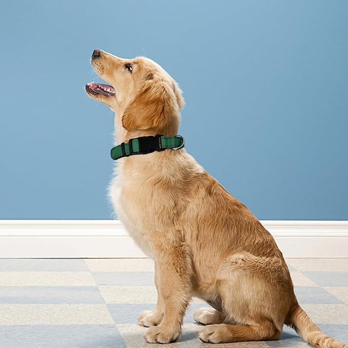 Reflective Dog Collar, Adjustable Soft Neoprene Padded Nylon Pet Collars with Buckle for Large Dogs, Dark Green,L