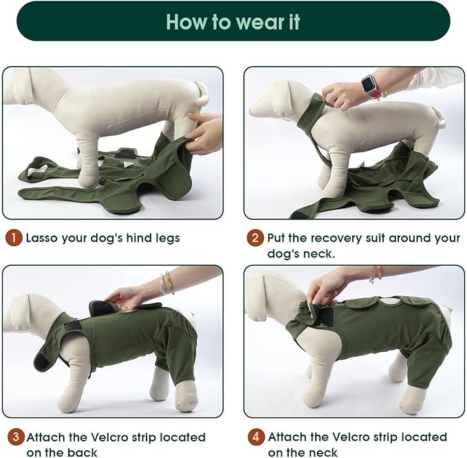 Kuoser Thigh Wound Protective Sleeve for Dogs, Dog Surgery Recovery Suit for Rear Legs, Dog Recovery Sleeve for Female Male Dogs, Dog Onesie After Surgery Pet Surgical Suit for Spay Neuter, Green XL
