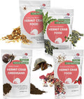 Snout and Shell Hermit Crab Food Bundle (Farm and Meadow, Fruity Breakfast Blend, Crabby Bug Blend, Greensand)