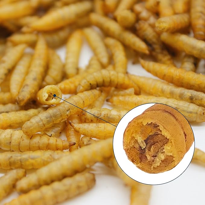 Nutrient-Rich Chicken Feed - 5LB Dried Black Soldier Fly Larvae, 100% Natural, 85X More Calcium Than Mealworms, Ideal for Molting & Laying Hens, Ducks, and Wild Birds, Reptiles and Hedgehogs