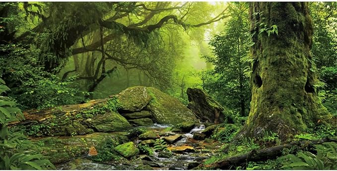 AWERT Tropical Forest Terrarium Background Stream Green Huge Tree Reptile Habitat Background Foggy Rainforest Aquarium Background 24x12 inches Polyester Background