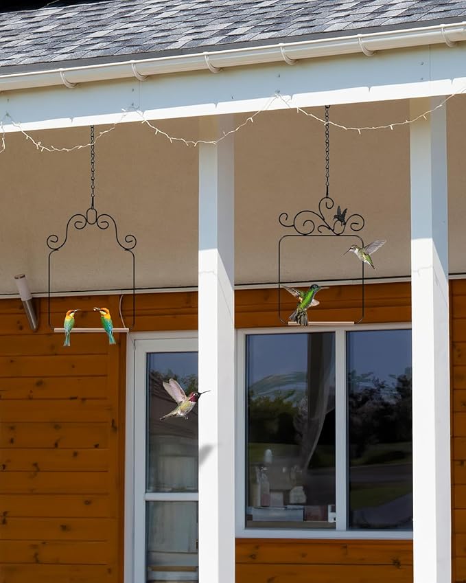 PACETAP Hummingbird Swings and Perches Metal Frame 2 Pack, Wild Bird Swing Outdoor Bird Perch with Wooden Dowel and 2 Hanging Chain for Hanging Indoor, Outdoor, Trunk, Lawn, Patio, Garden (Black)