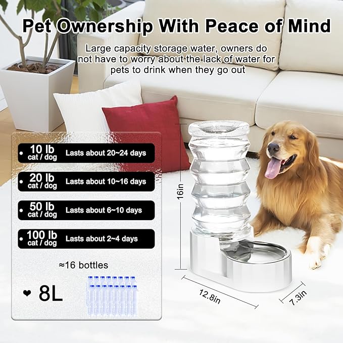 RIZZARI Large Gravity Water Dispenser: 8L Automatic Water Feeder with Stainless Steel Bowl - Two Caps and Filters for 30-60 LB Dogs with Spinal Issues - for Living Room Garage