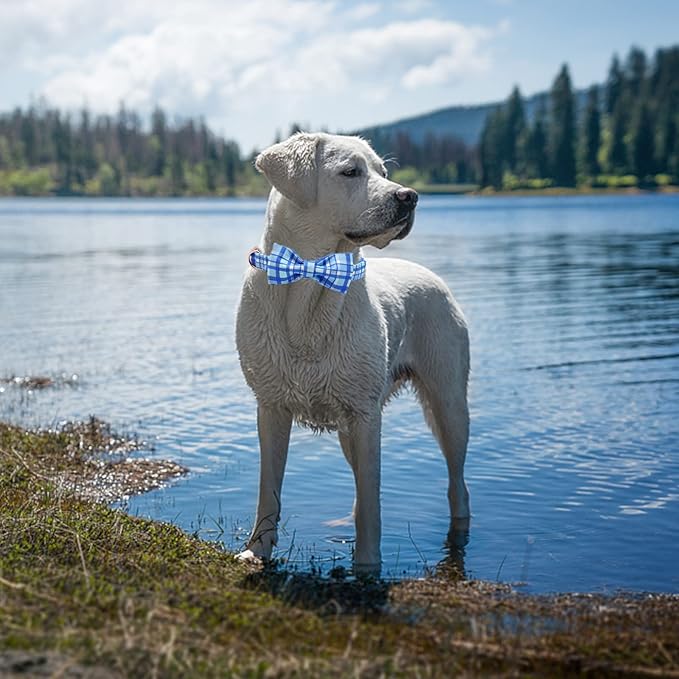 Elegant little tail Dog Collar with Bow - Blue Plaid Boy Dog Collar Cute Bowtie Pet Collar Adjustable Dog Collar for X-Large Dog