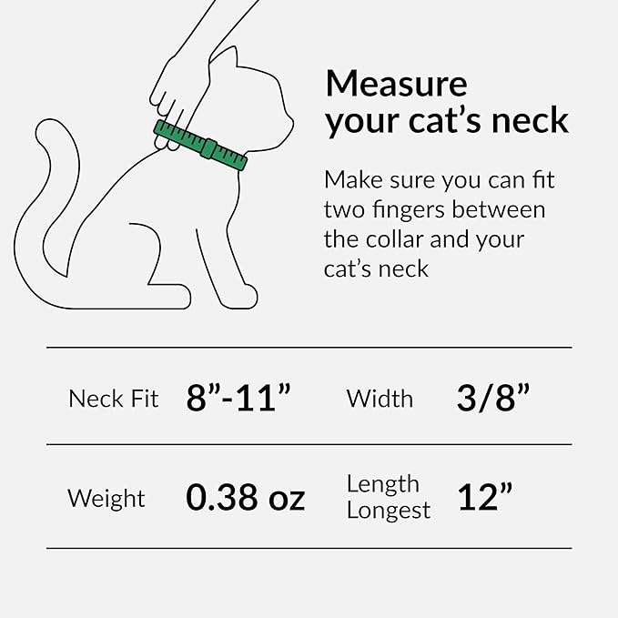 CollarDirect Leather Cat Collar, Cat Safety Collar with Elastic Strap, Kitten Collar with Bell Black Blue Red Orange Lime Green (8-11 Inch, Mint Green)
