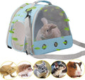 Ventilation Carrier for Bearded Dragons, Guinea Pigs, Reptiles & Small Pets - Airline Approved Mesh Carrier (Blue)