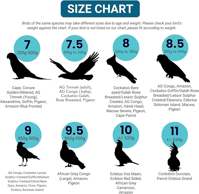 Bev's Bird Boutique Regular Flyper Adjustable Bird Diaper | Reusable, Washable Cloth | Comfort Fit for Parrot, Cockatiels, & Other Small Birds | Fashionable Avian Accessories, Classy Bird Size 7.5