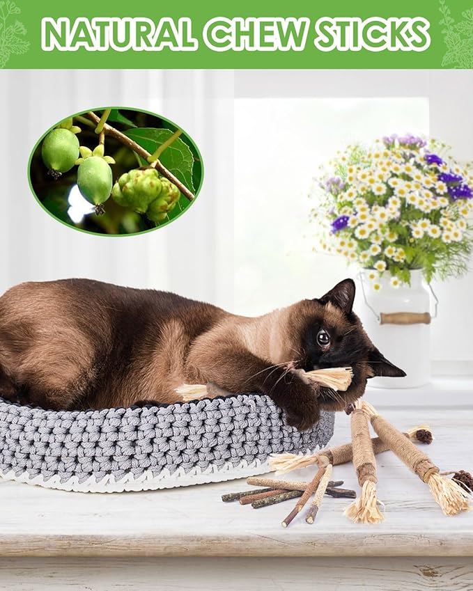 Silvervine Chew Sticks for Cats, 10 Pack Natural Catnip Chew Toys for Kittens Teeth Cleaning, Matatabi Dental Care, Increase Appetite, Calm Cat Anxiety and Stress, Aggressive Chewers Cat Dental Toy