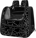 Spider Web Transparent Pet Carrier for Travel Hiking for Kitty Small Dog