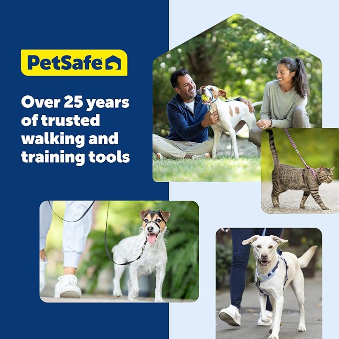 PetSafe Gentle Leader Headcollar No-Pull Dog Collar - Helps Improve Walks - Durable Nylon Construction - Padded Nose Loop - Adjustable Fit - Comfort Walking Halter - Large, Charcoal