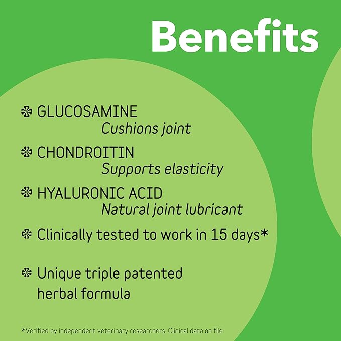 InClover Connectin Natural Hip & Joint Supplement for Dogs with Glucosamine, Chondroitin & Hyaluronic Acid - Tablet for Dog Mobility, Comfort & Active Lifestyle Support, 50 Count