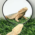 FlidRunest 2 Pack 3.4 Inches Bearded Dragon Mirror Toy, Hermit Crab Mirror Toy with Suction Cups, Small Animal Tank Decor Accessories, Suitable for Bearded Dragon Hermit Crab Lizard Chameleon