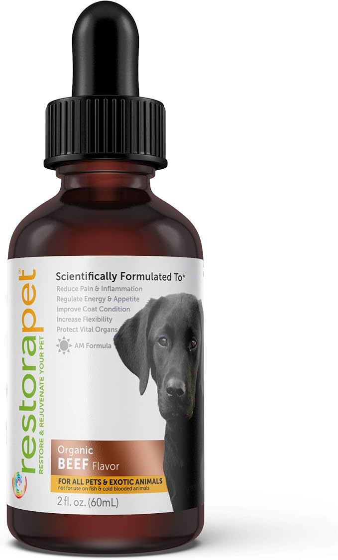 RestoraPet 1-Pack Dog & Cat Beef Liquid Multivitamin | Dog Arthritis Pain Relief | Hip & Joint Vitamins for Dogs - Anti Inflammatory Supplement for Dogs & Cats | Organic & Non-GMO, Vet Approved