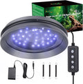 UVB Light for Reptiles with Dimming UVA UVB Reptile Light Fixture with Timer LED UVB Bulb for Bearded Dragon Gecko Turtle Chameleon Lizard Snake Adjustable Brightness Reptile Tank Accessories 8W Grey